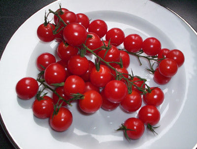 Cerise Tomat