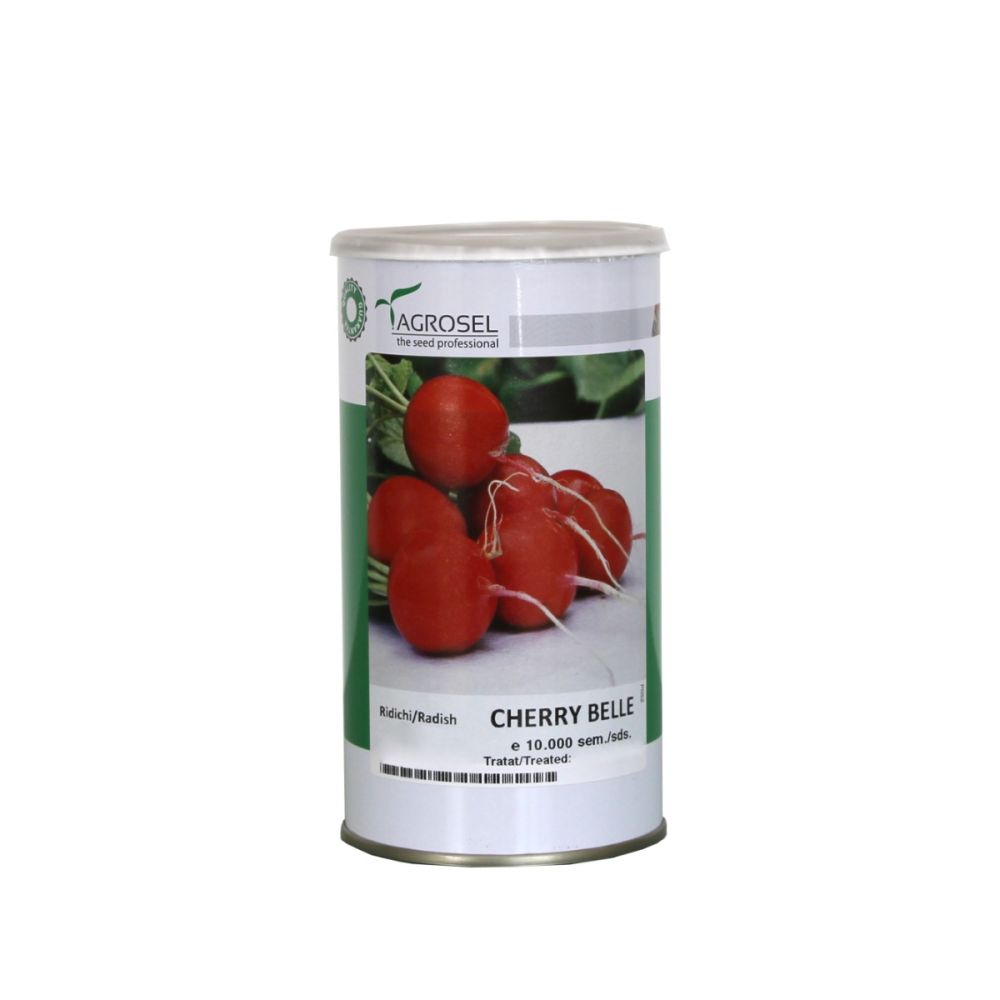 Radis - Cherry Belle - BIG-PACK