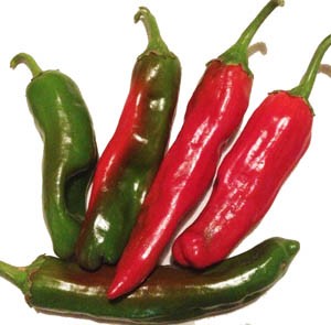 Numex Sandia - C.annuum