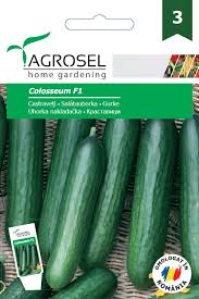 Agurk - Colosseum F1 - Stor pk.