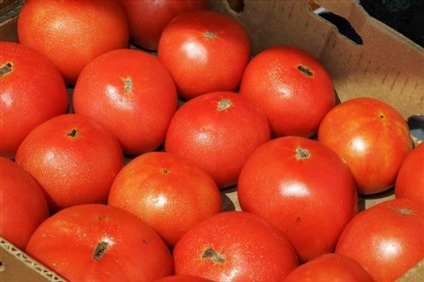 Creole - Tomat