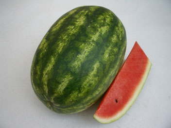 Long Crimson - Vandmelon