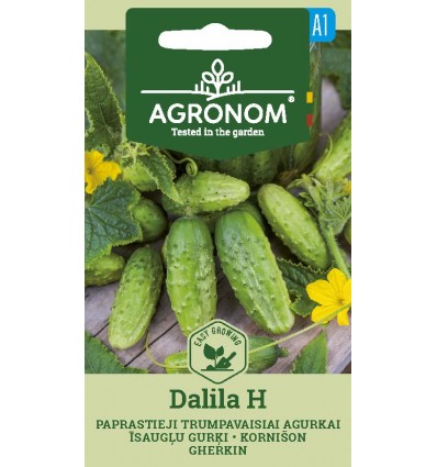 Agurk - Cornichon - Ela H