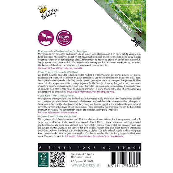 Micro Greens - Kål