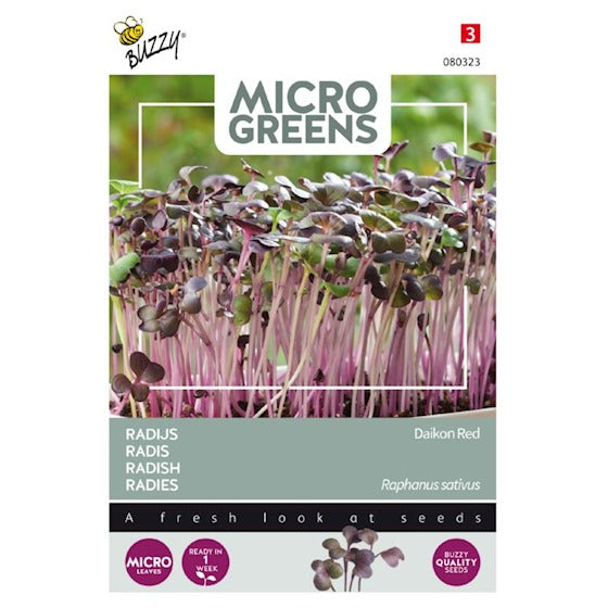 Micro Greens - Radise Daikon Red