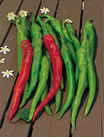 Peber, Sød - Dolce di Bergamo - C.Annuum