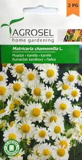 Kamille - Matricaria chamomilla L.