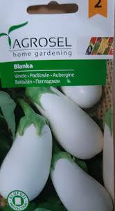 Aubergine - Blanka - mellem pk