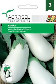 Aubergine - Blanka - stor pk