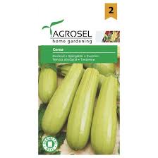 Squash - Cerna - mellem pk