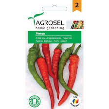 Chili Peber - Pintea C.annuum