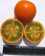 Naranjilla - Solanum quitoense
