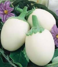 Aubergine - Casper