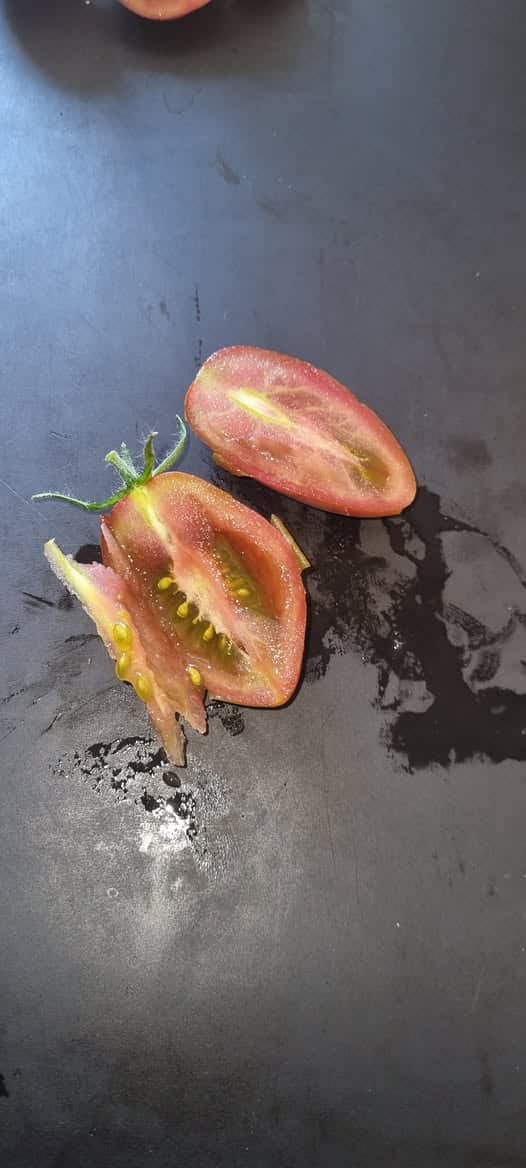 Tomat - Cherry Ducre