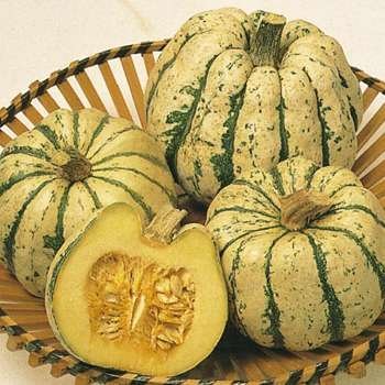 Squash - Sweet Dumpling