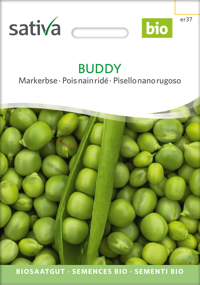 Ært - Buddy - ØKO
