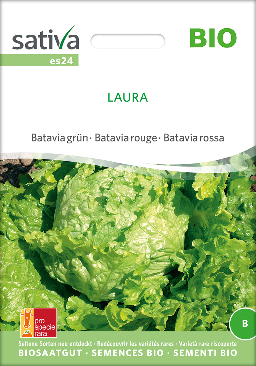 Salat - Laura - ØKO