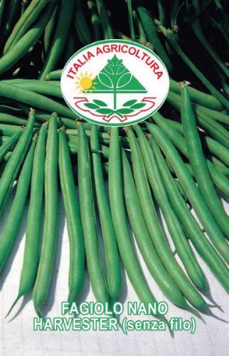 Bønne - Nano harvester (senza filo) - 100 gram