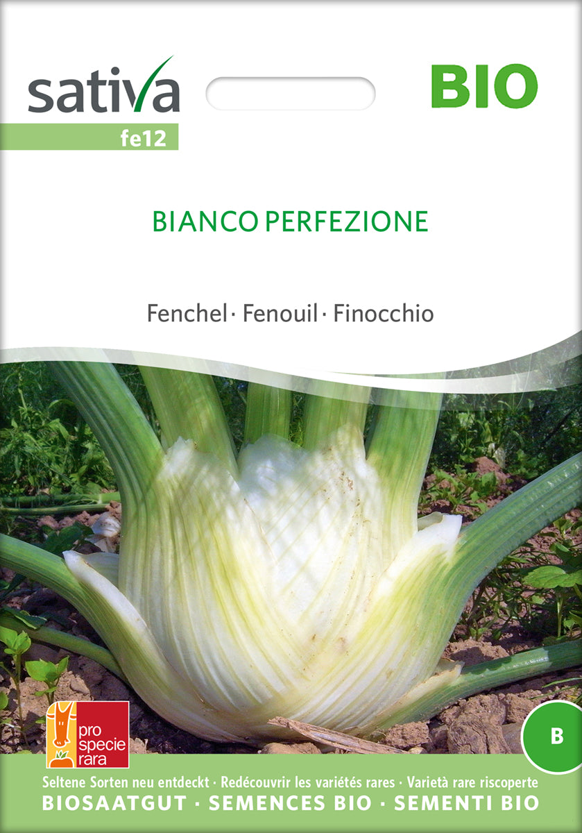 Knold fennikel - Bianco Perfezione - ØKO