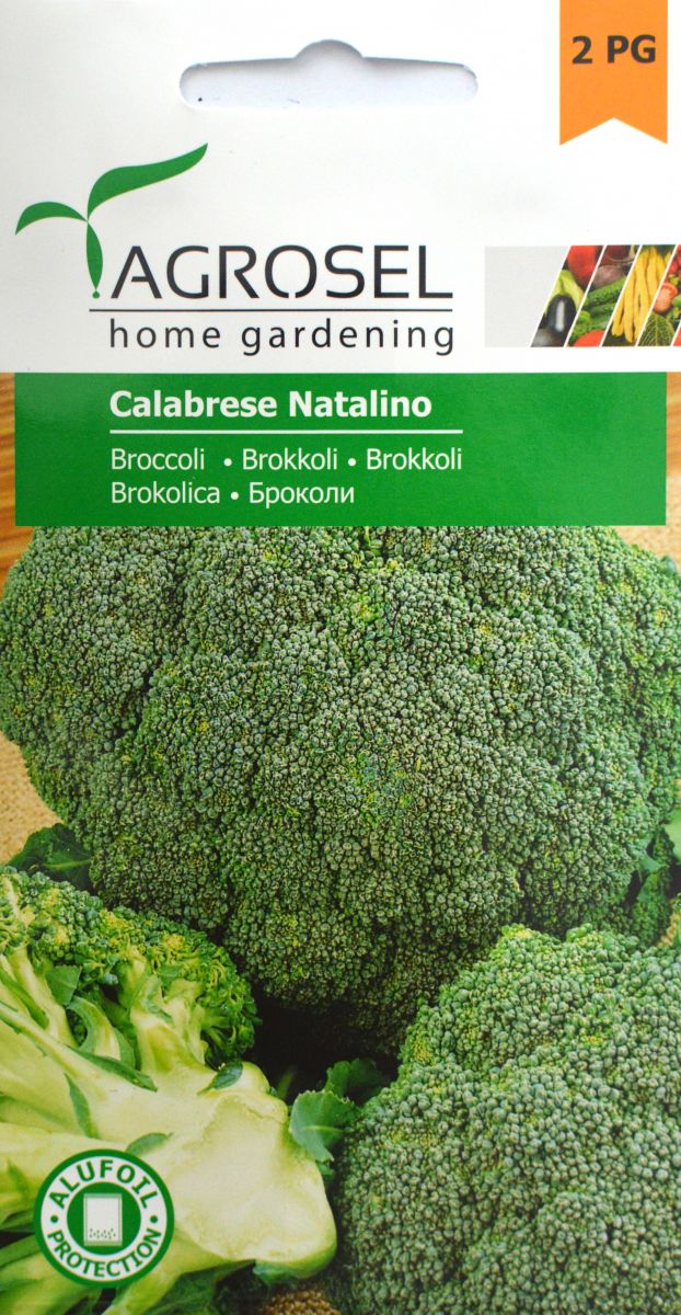 Broccoli - Calabrese Natalino