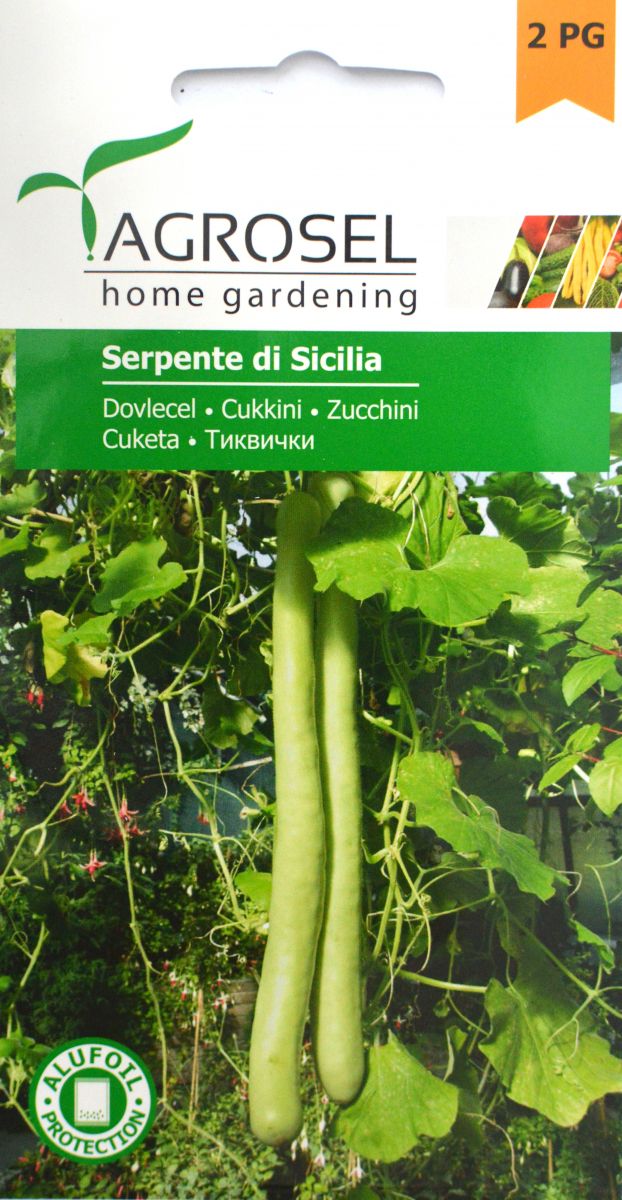 Squash - Serpente Di Sicilia