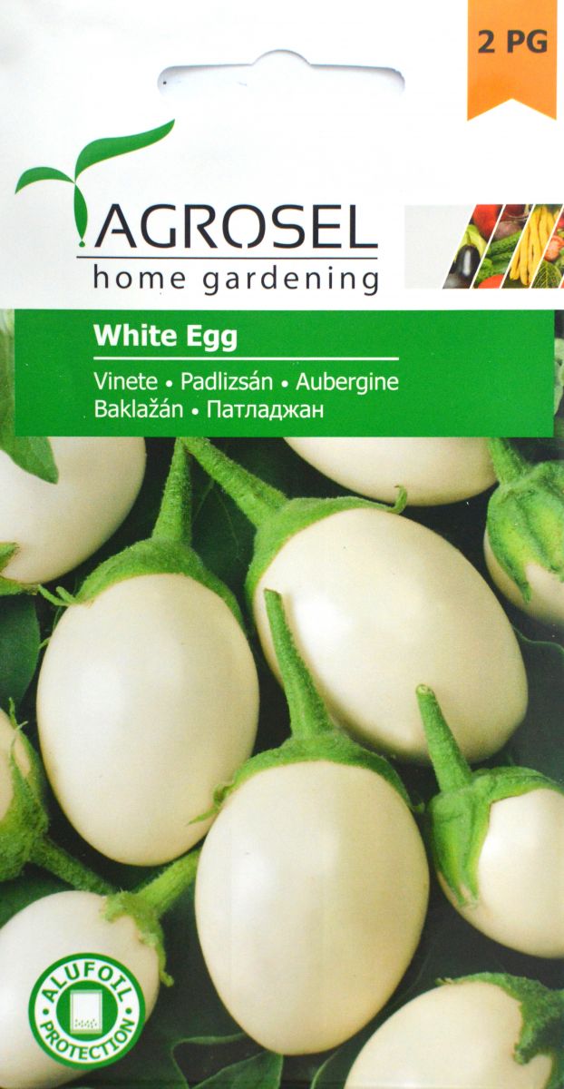 Aubergine - White Egg