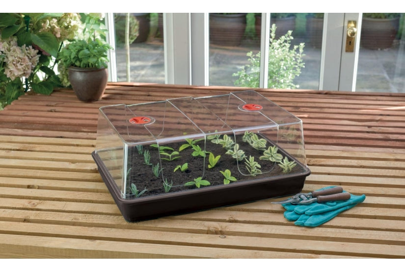 XL High Dome Spirekasse