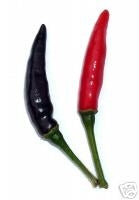 Goats Weed - C. annuum