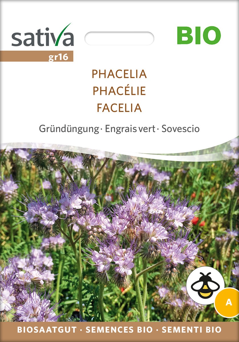 Honningurt - Phacelia - ØKO