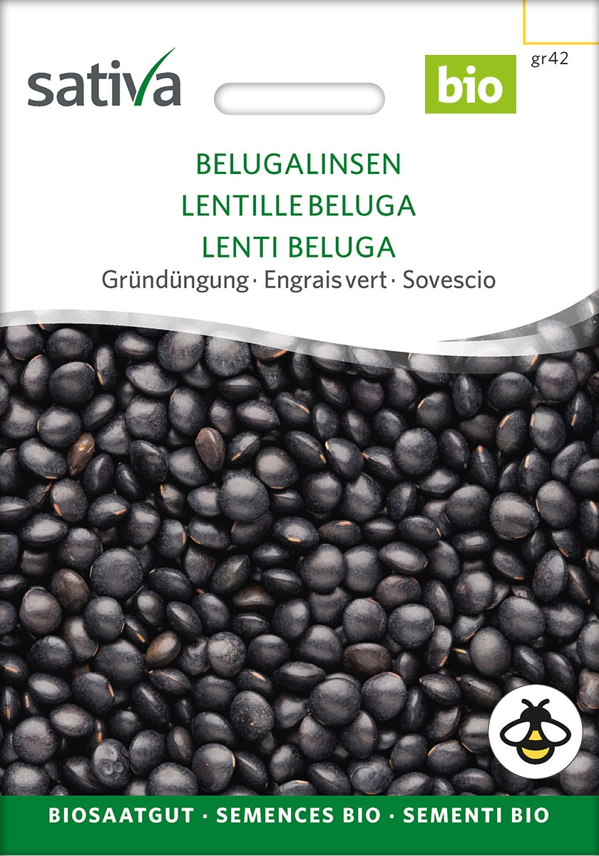 Linser - Beluga - ØKO