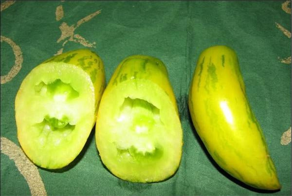 Green sausage - Tomat