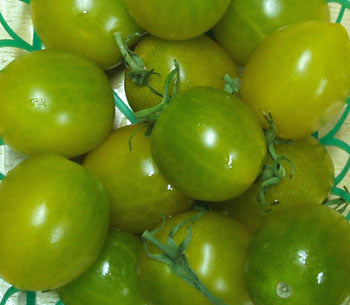 Green Grape Tomat