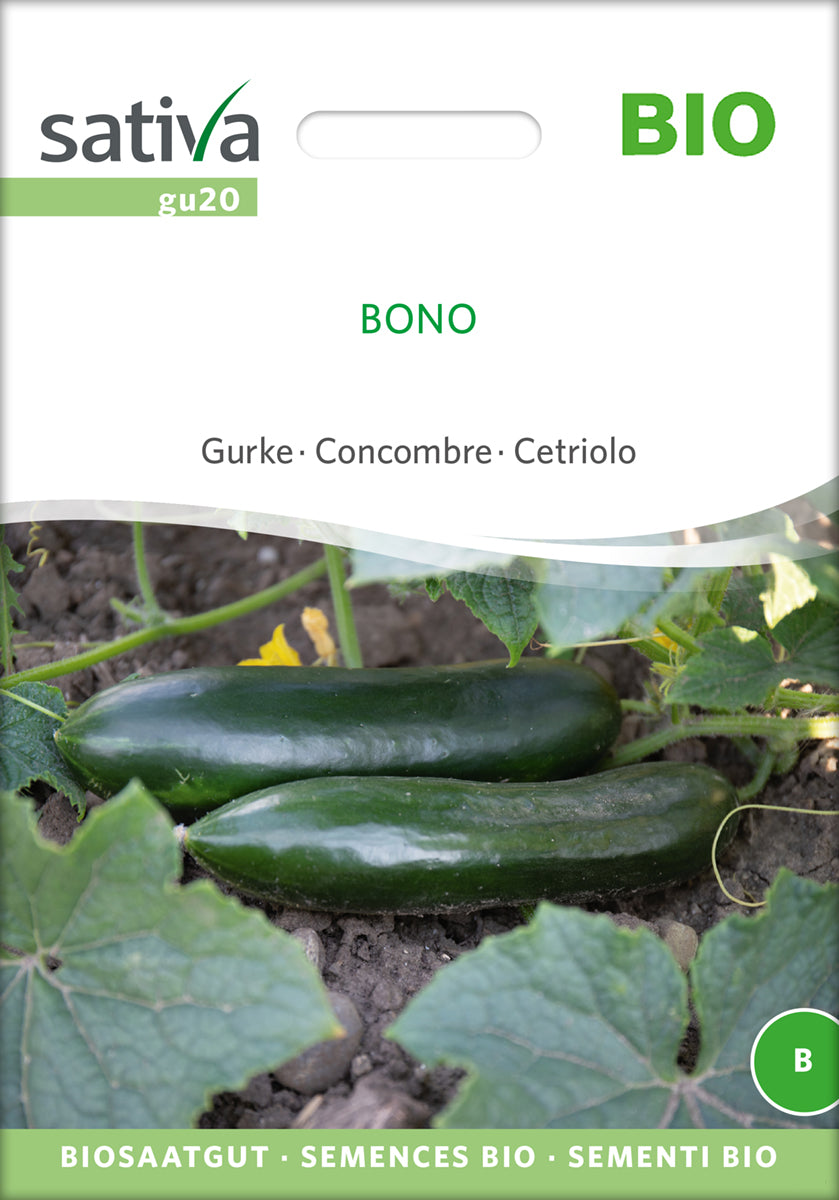 Agurk - Bono - ØKO
