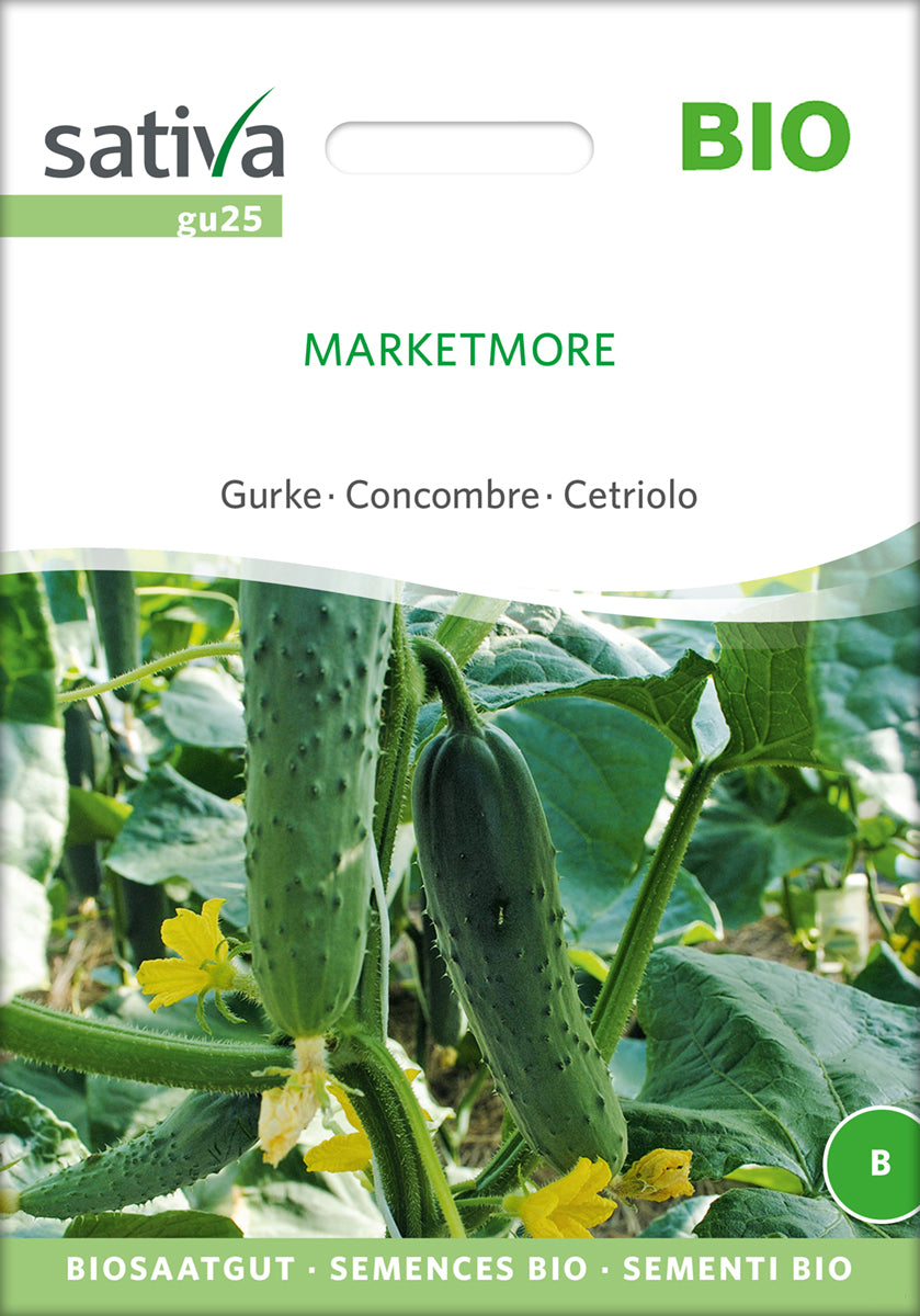 Agurk - Marketmore - ØKO