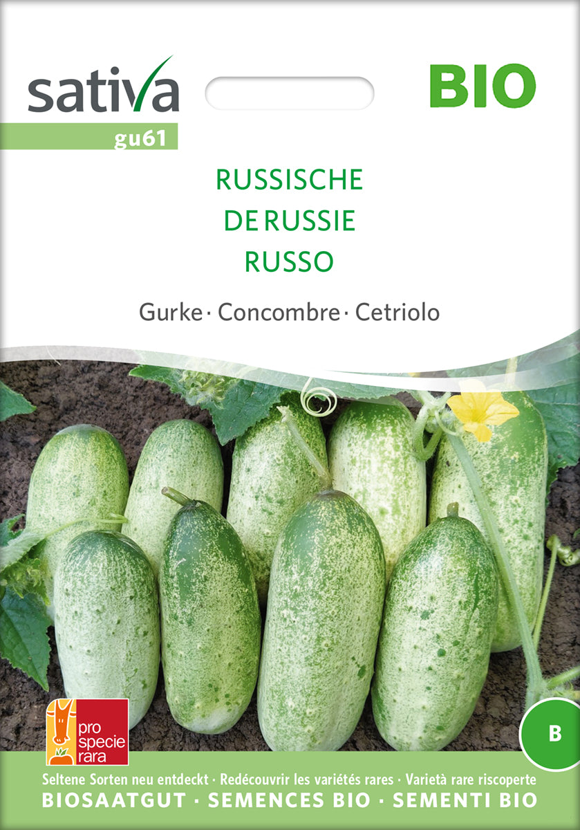 Agurk - Russian - ØKO
