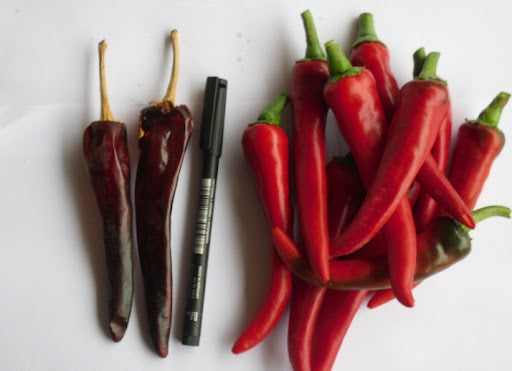 Guindilla Larga Roja - C. annuum
