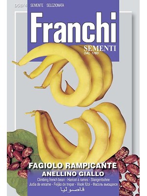 Bønne - Anellino giallo