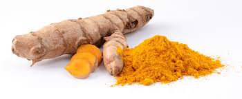 Gurkemeje - Curcuma longa - 3 Rhizomer