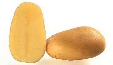 Bondens Bedste - Gwenne 1,5 KG - NYHED - ** FORUDBESTILLING