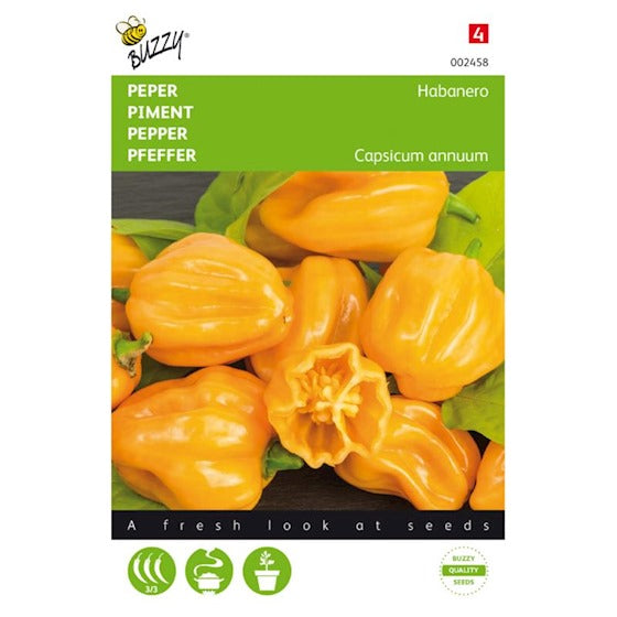 Habanero Orange - C. chinense