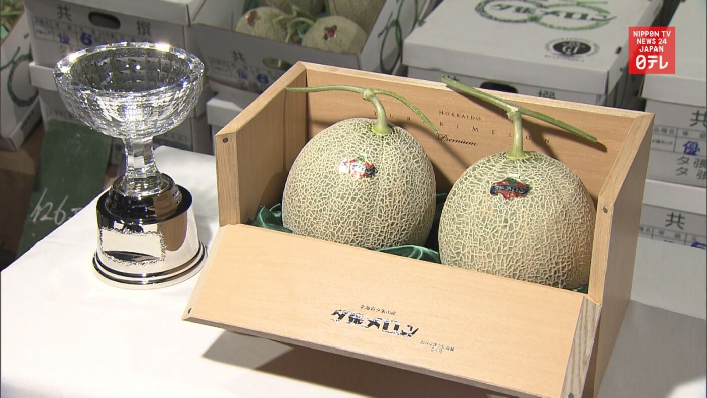 Yubari - Hokaido Melon