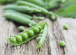 Ært - Sugar Snap