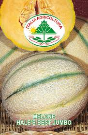 Melon - Hale´s Best Jumbo 25 GRAM