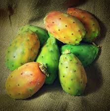 Figenkaktus - Opuntia Ficus Indica
