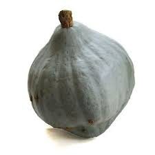 Græskar - Blue Hubbard - Cucurbita maxima