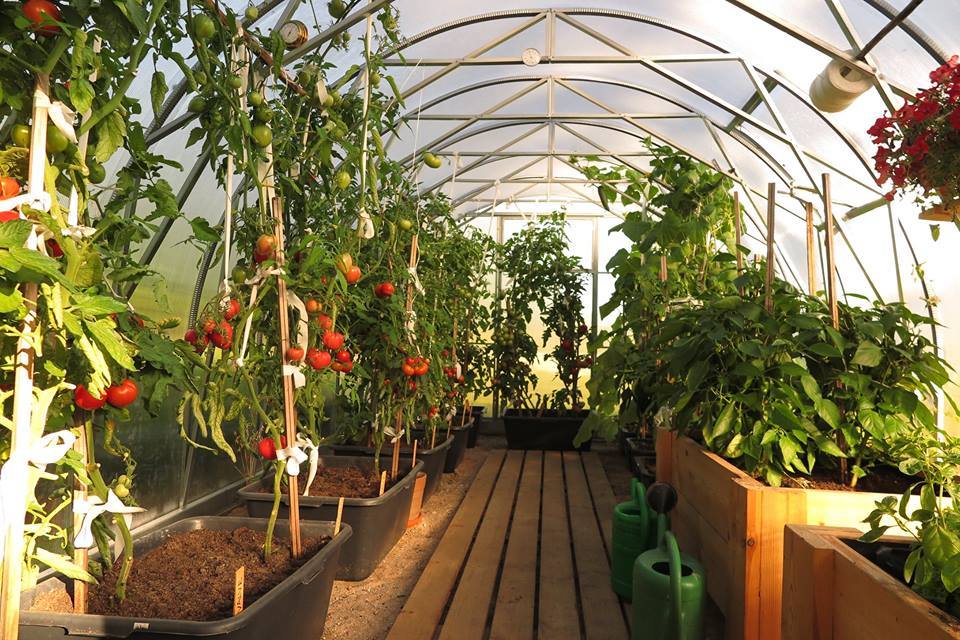 EcoSlider ES3 Premium - 30 m2