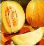 Cantalompe Planters Jumbo