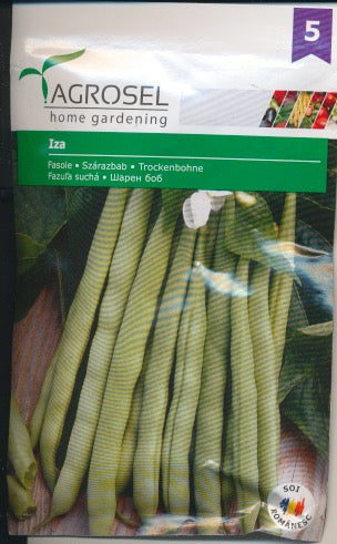 Bønne - Iza - stor pakke