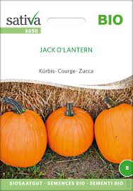 Græskar - Jack O'Lantern - ØKO