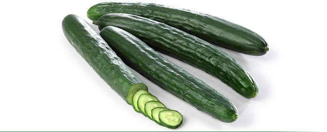 Japanese long - agurk